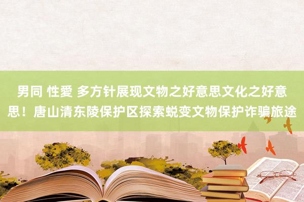男同 性愛 多方针展现文物之好意思文化之好意思！唐山清东陵保护区探索蜕变文物保护诈骗旅途